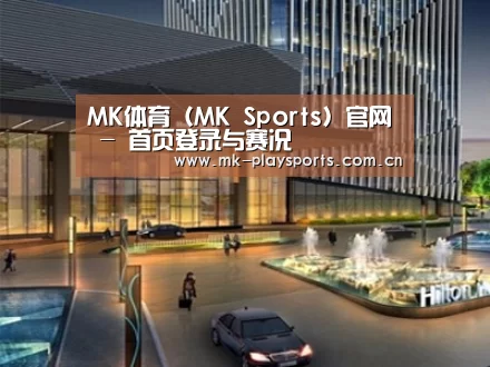 案例展示二