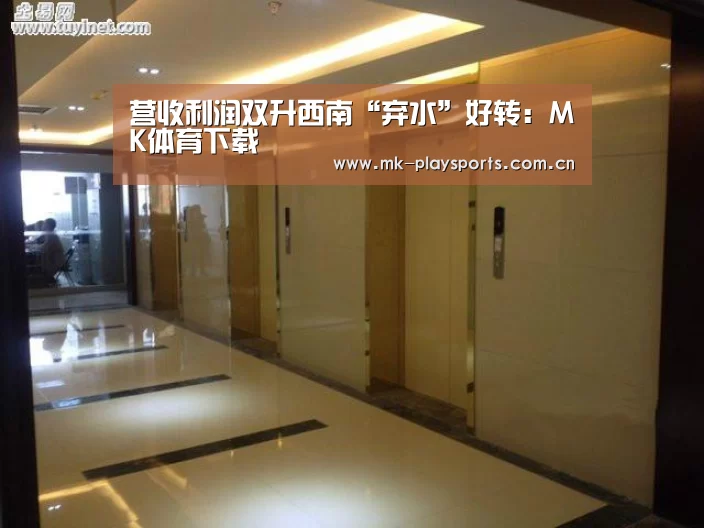 营收利润双升西南“弃水”好转:MK体育下载(图3) MK体育官方网站
