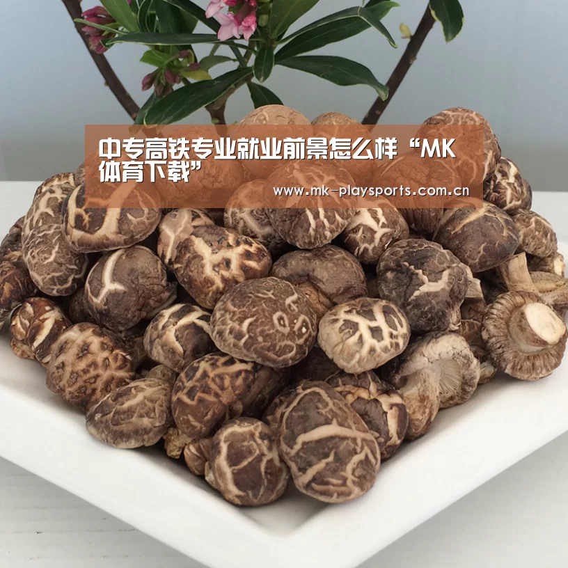 中专高铁专业就业前景怎么样“MK体育下载”(图2) MK体育下载
