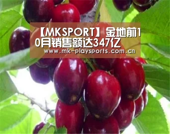 MK体育下载