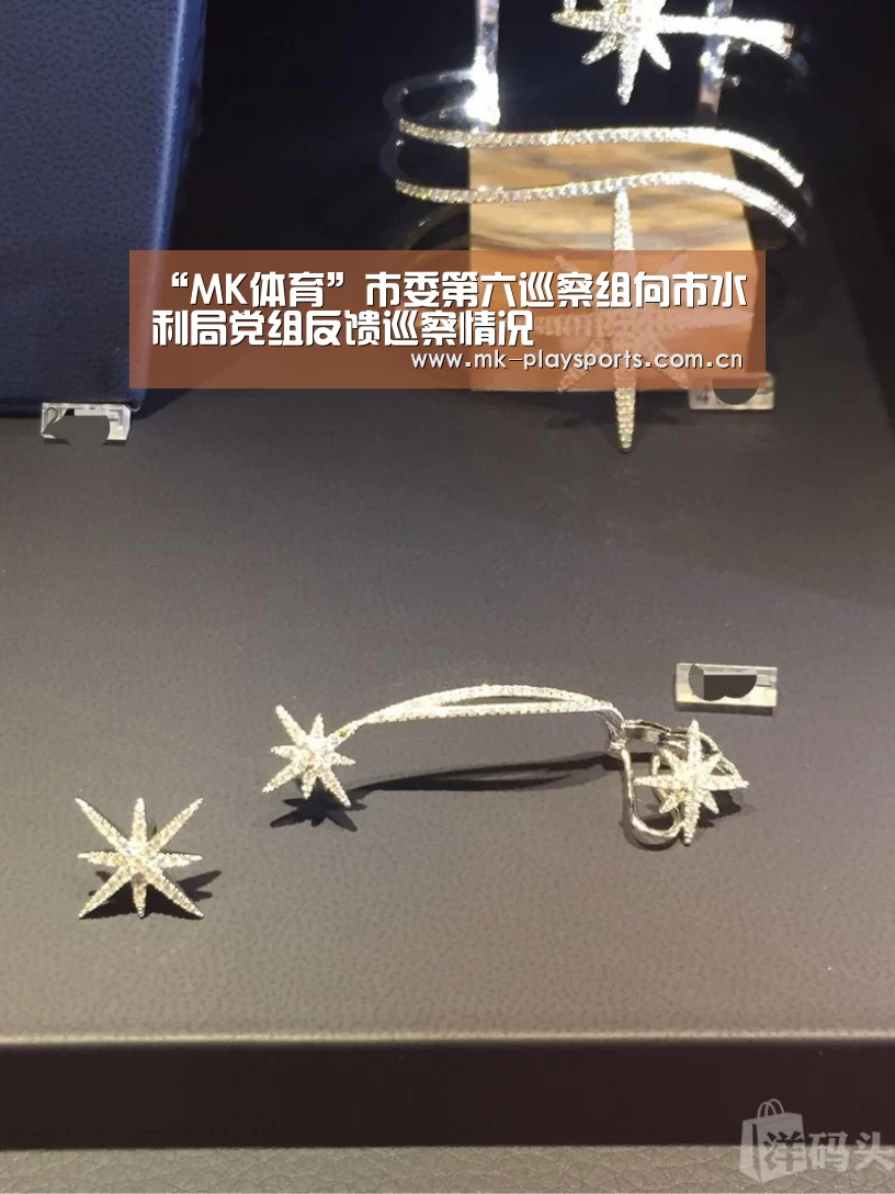 “MK体育”市委第六巡察组向市水利局党组反馈巡察情况(图2) MK体育下载