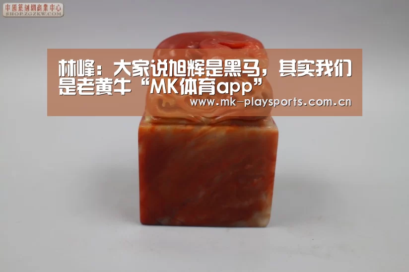林峰:大家说旭辉是黑马,其实我们是老黄牛“MK体育app”(图1) MK体育官方网站