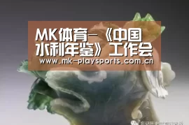 MK体育官方网站