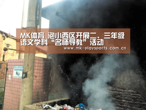 MK体育_泡小西区开展二、三年级语文学科“名师导教”活动(图2) MK体育下载
