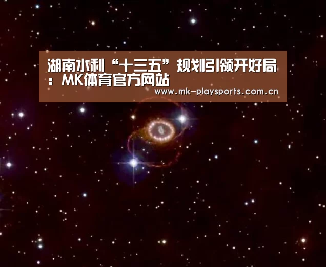 MK体育下载