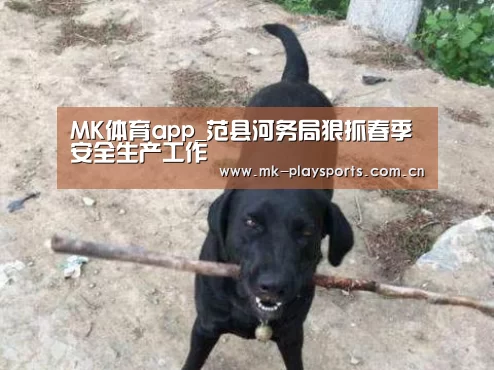 MK体育app_范县河务局狠抓春季安全生产工作(图3) MK体育