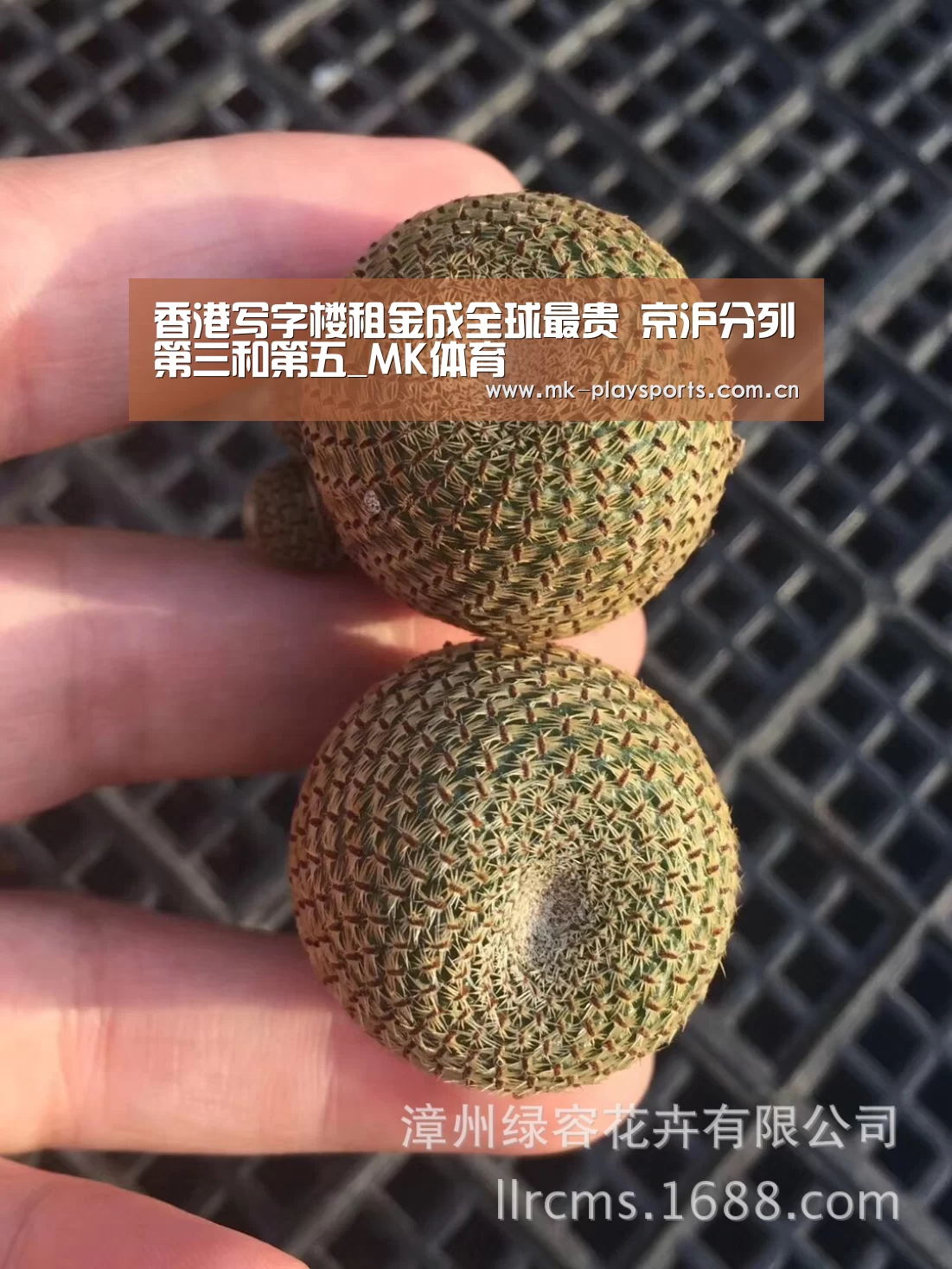 香港写字楼租金成全球最贵 京沪分列第三和第五_MK体育(图3) MK体育官方网站
