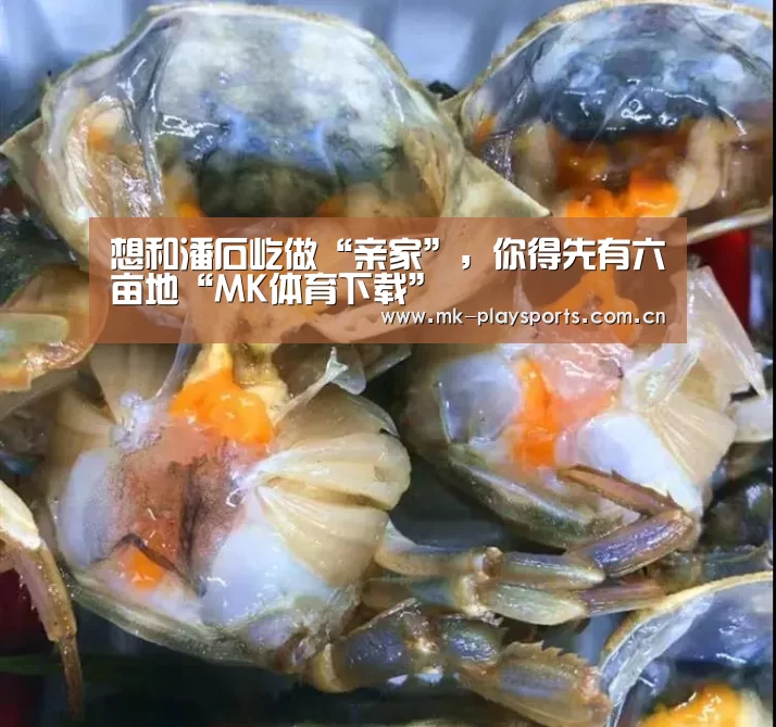 MK体育