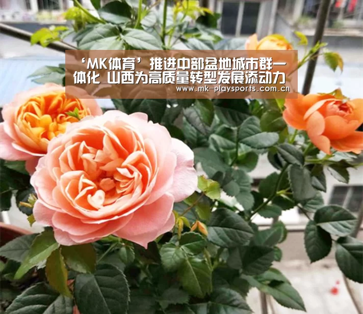 ‘MK体育’推进中部盆地城市群一体化 山西为高质量转型发展添动力(图3) MK体育官方网站